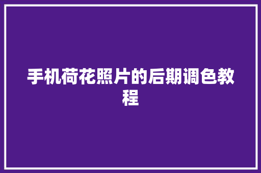 手机荷花照片的后期调色教程