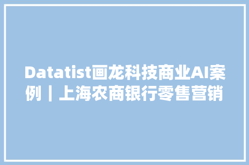 Datatist画龙科技商业AI案例｜上海农商银行零售营销策略系统项目