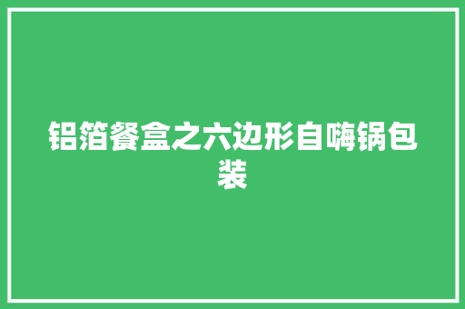铝箔餐盒之六边形自嗨锅包装