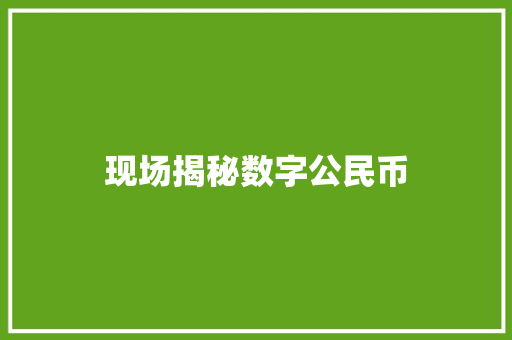 现场揭秘数字公民币
