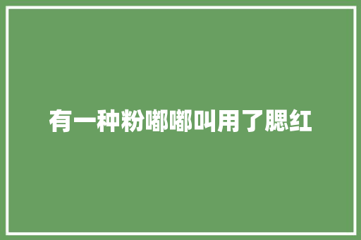 有一种粉嘟嘟叫用了腮红