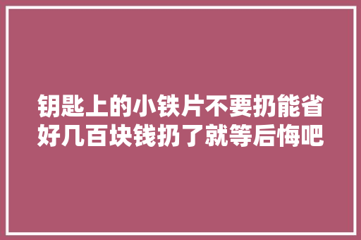 钥匙上的小铁片不要扔能省好几百块钱扔了就等后悔吧