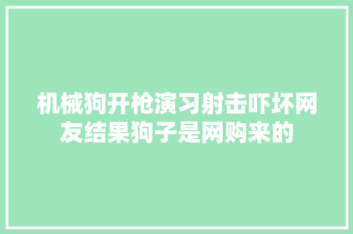 机械狗开枪演习射击吓坏网友结果狗子是网购来的