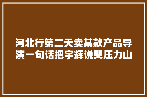 河北行第二天卖某款产品导演一句话把宇辉说哭压力山大年夜