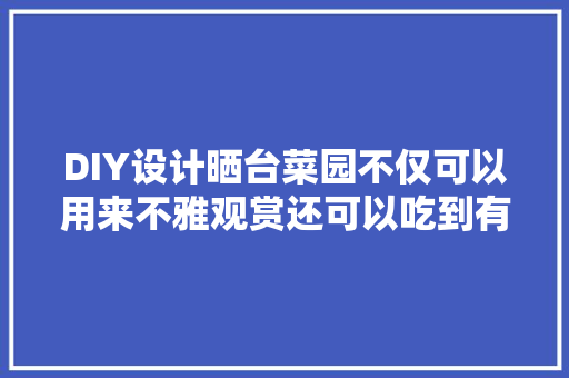 DIY设计晒台菜园不仅可以用来不雅观赏还可以吃到有机蔬菜