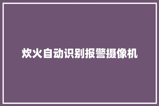 炊火自动识别报警摄像机