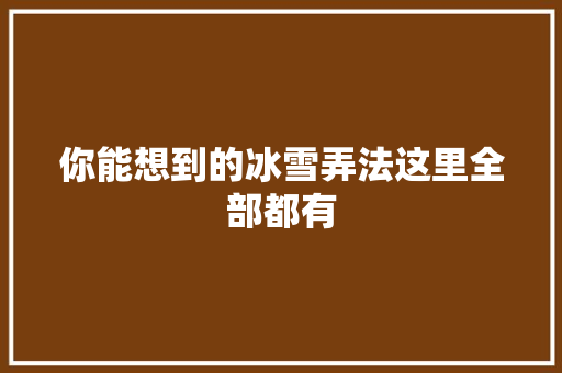 你能想到的冰雪弄法这里全部都有