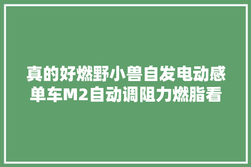 真的好燃野小兽自发电动感单车M2自动调阻力燃脂看得见