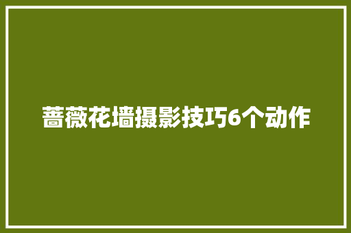 蔷薇花墙摄影技巧6个动作