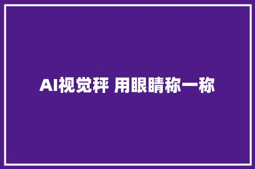AI视觉秤 用眼睛称一称