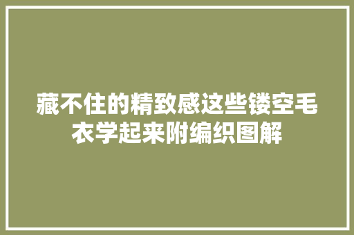 藏不住的精致感这些镂空毛衣学起来附编织图解
