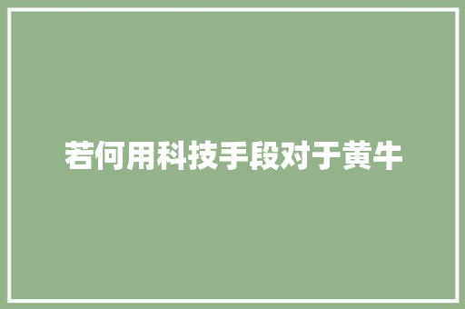 若何用科技手段对于黄牛