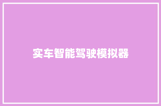 实车智能驾驶模拟器