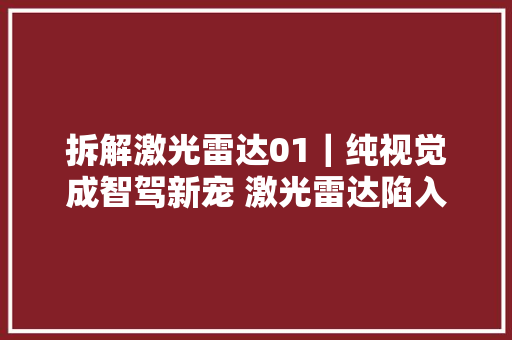 拆解激光雷达01｜纯视觉成智驾新宠 激光雷达陷入降价怪圈