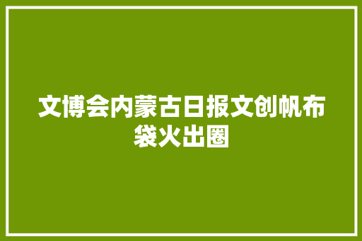 文博会内蒙古日报文创帆布袋火出圈