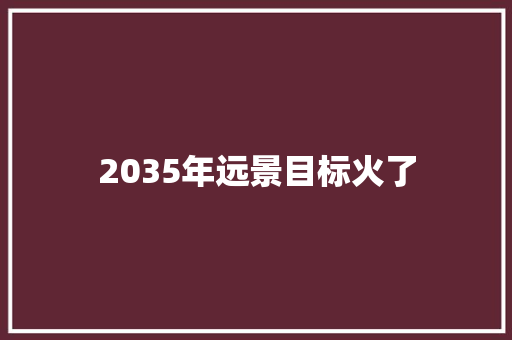 2035年远景目标火了