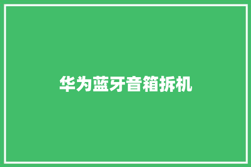 华为蓝牙音箱拆机