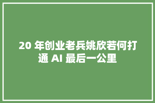 20 年创业老兵姚欣若何打通 AI 最后一公里