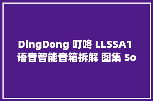 DingDong 叮咚 LLSSA1 语音智能音箱拆解 图集 Soomal