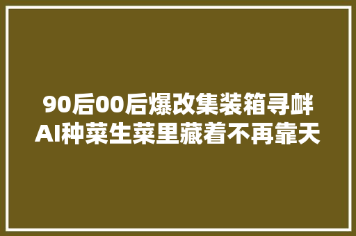 90后00后爆改集装箱寻衅AI种菜生菜里藏着不再靠天吃饭的秘密