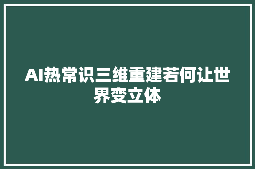AI热常识三维重建若何让世界变立体