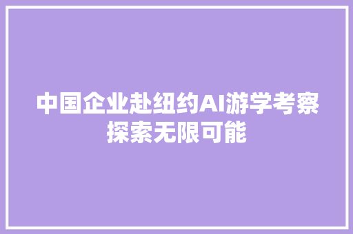 中国企业赴纽约AI游学考察探索无限可能