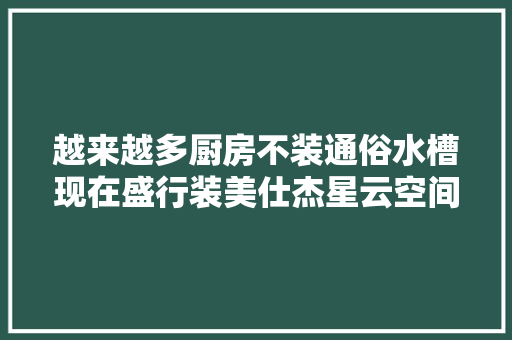 越来越多厨房不装通俗水槽现在盛行装美仕杰星云空间足又美观
