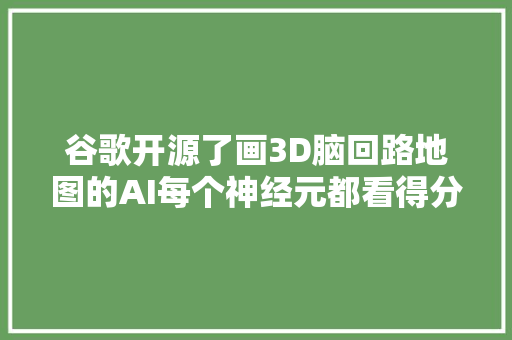 谷歌开源了画3D脑回路地图的AI每个神经元都看得分明｜Nature子刊