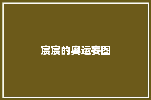 宸宸的奥运妄图