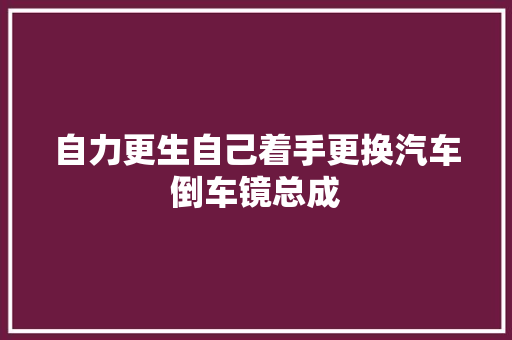 自力更生自己着手更换汽车倒车镜总成