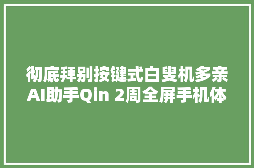 彻底拜别按键式白叟机多亲AI助手Qin 2周全屏手机体验