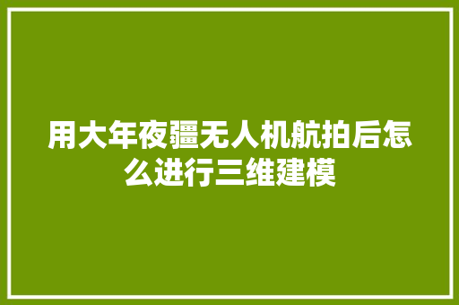 用大年夜疆无人机航拍后怎么进行三维建模