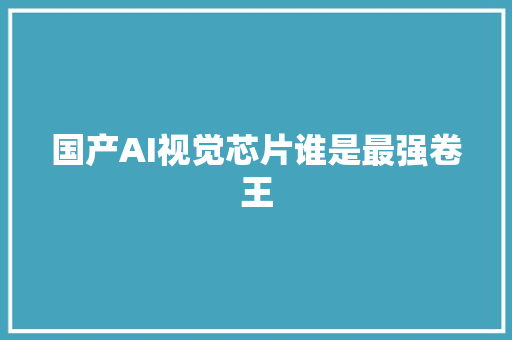 国产AI视觉芯片谁是最强卷王