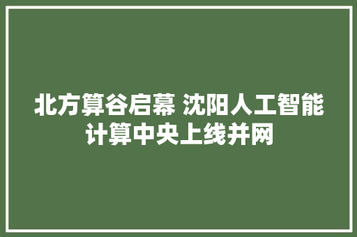北方算谷启幕 沈阳人工智能计算中央上线并网