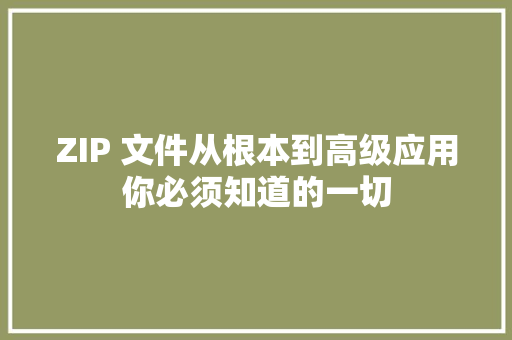 ZIP 文件从根本到高级应用你必须知道的一切