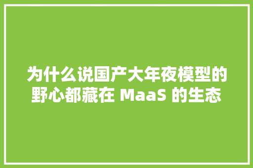 为什么说国产大年夜模型的野心都藏在 MaaS 的生态中