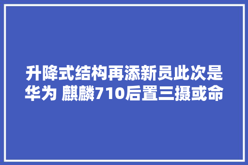 升降式结构再添新员此次是华为 麒麟710后置三摄或命名畅享10 MAX