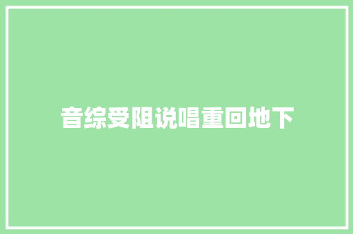 音综受阻说唱重回地下