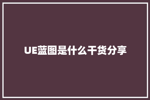 UE蓝图是什么干货分享