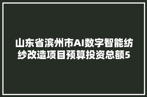 山东省滨州市AI数字智能纺纱改造项目预算投资总额50000万元