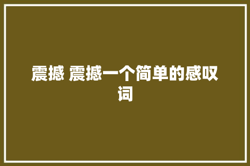 震撼 震撼一个简单的感叹词