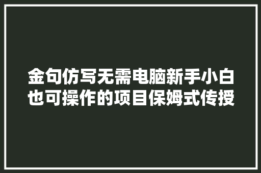金句仿写无需电脑新手小白也可操作的项目保姆式传授教化