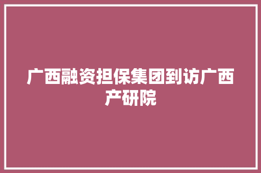 广西融资担保集团到访广西产研院