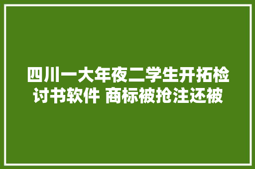 四川一大年夜二学生开拓检讨书软件 商标被抢注还被嘲讽当事人计算拿全部蓄积和盗版去世磕到底