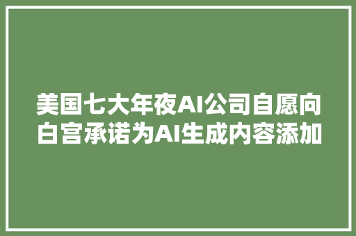美国七大年夜AI公司自愿向白宫承诺为AI生成内容添加水印