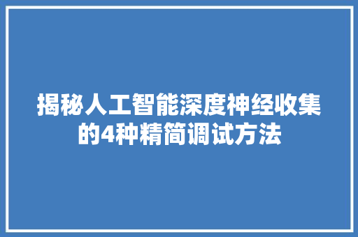 揭秘人工智能深度神经收集的4种精简调试方法
