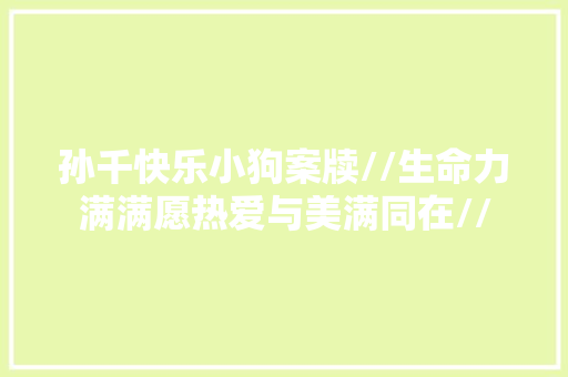 孙千快乐小狗案牍//生命力满满愿热爱与美满同在//