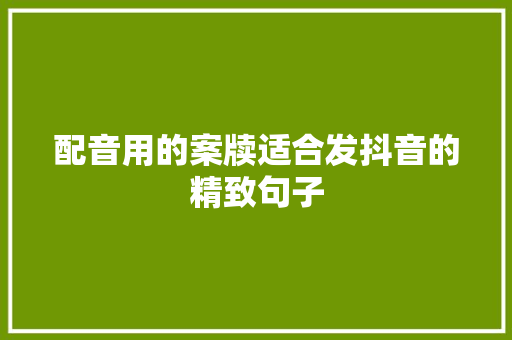 配音用的案牍适合发抖音的精致句子