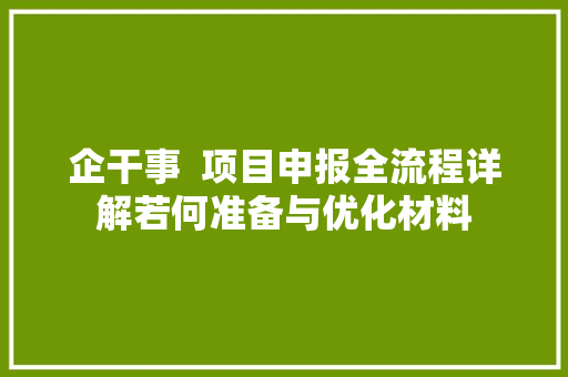 企干事  项目申报全流程详解若何准备与优化材料
