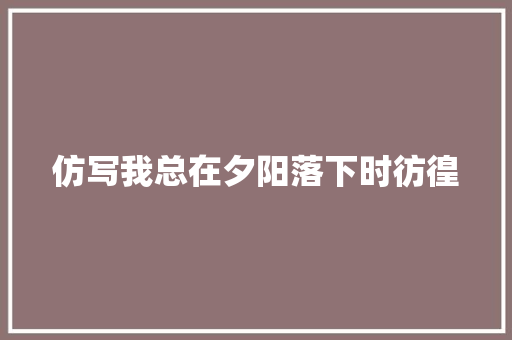 仿写我总在夕阳落下时彷徨